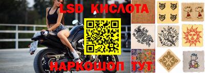 mdpv Ачхой-Мартан