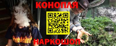 mdpv Ачхой-Мартан