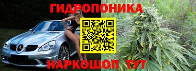 мяу мяу мука Баксан