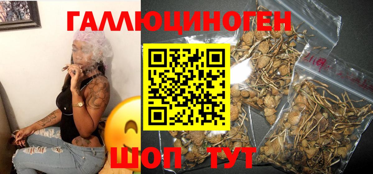 Еманжелинск  Галлюциногенные грибы GOLDEN TEACHER  как найти закладки  Вход с VPN 